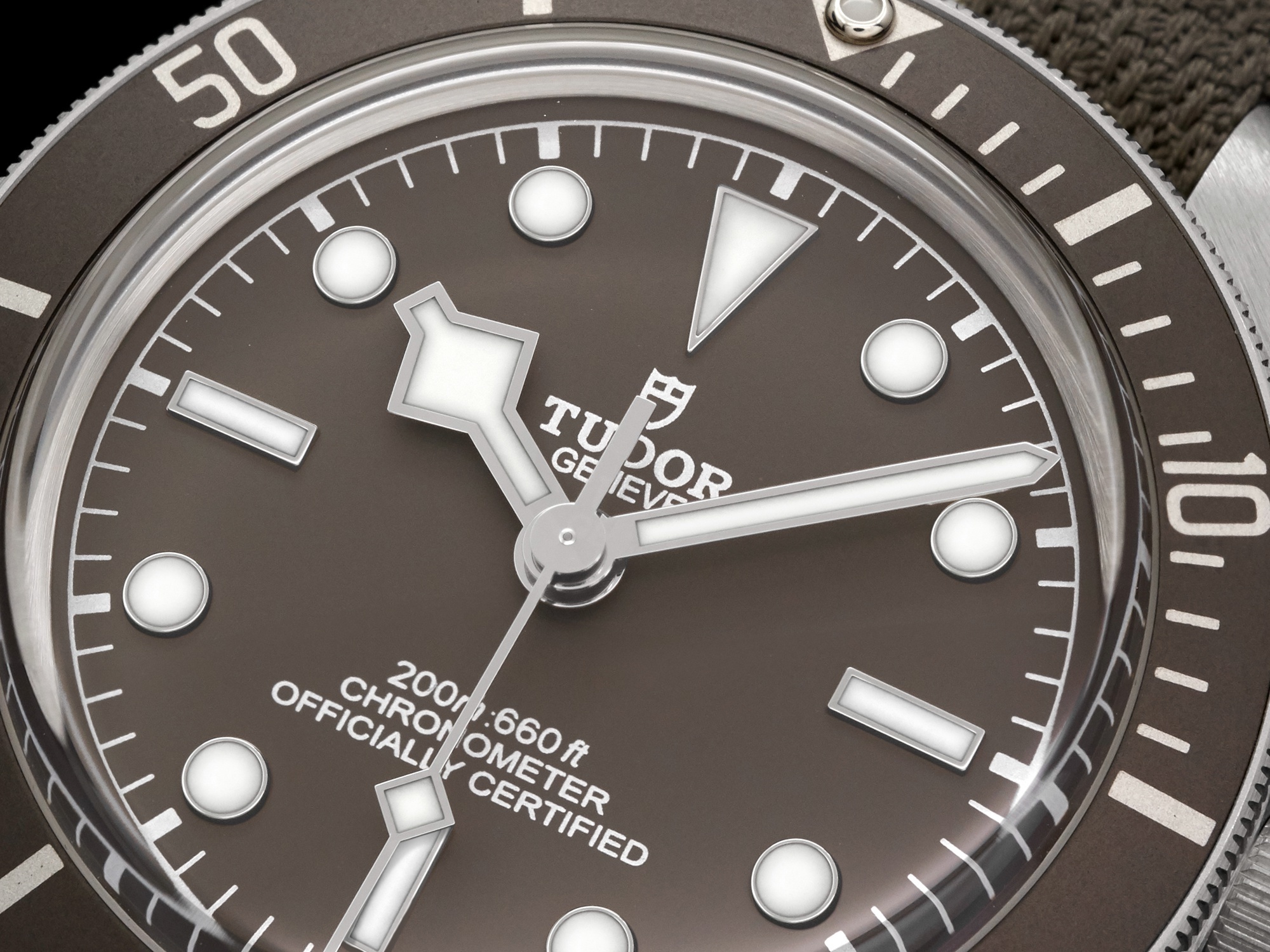 Tudor Black Bay 925 silver dive watch movement