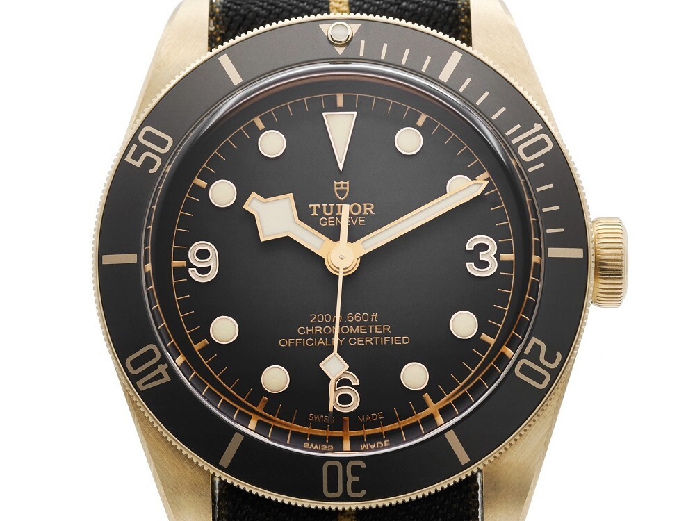 Tudor Black Bay Bronze watch