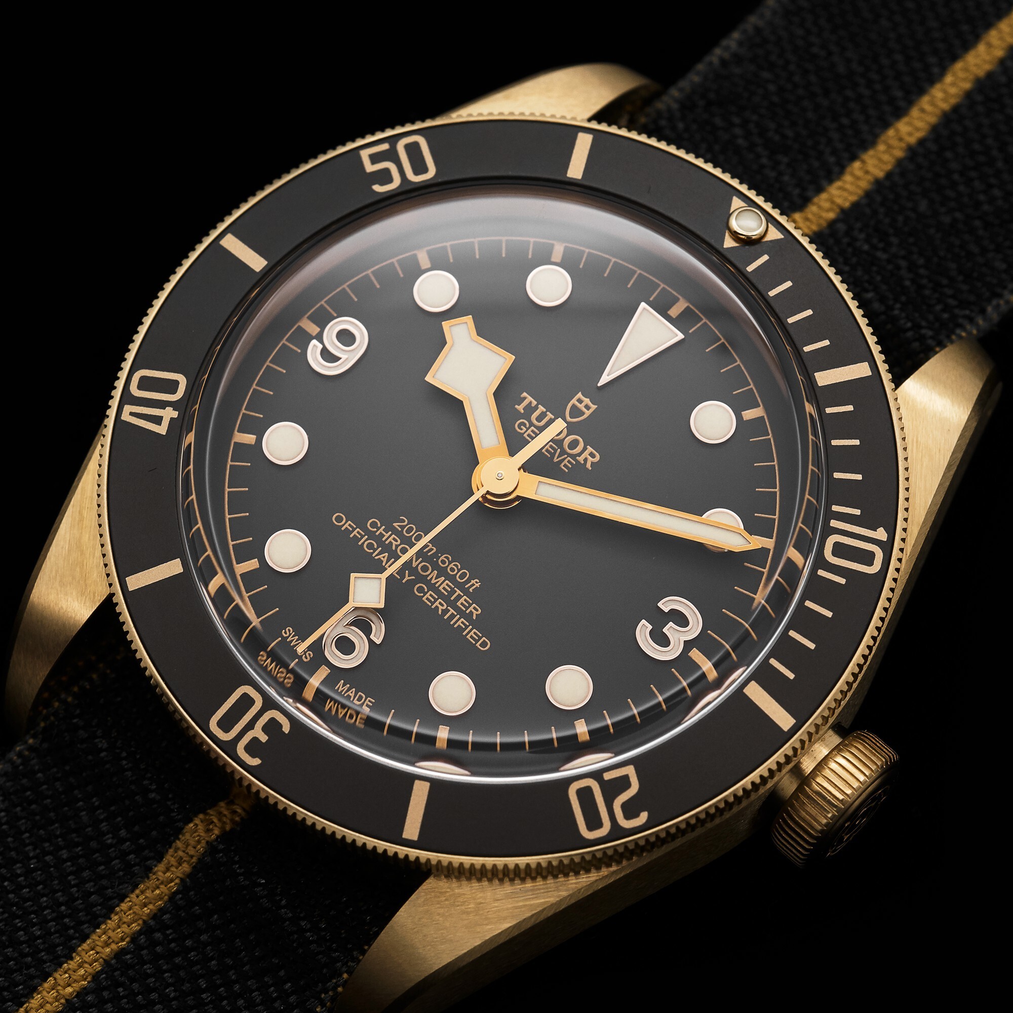Tudor Black Bay Bronze watch