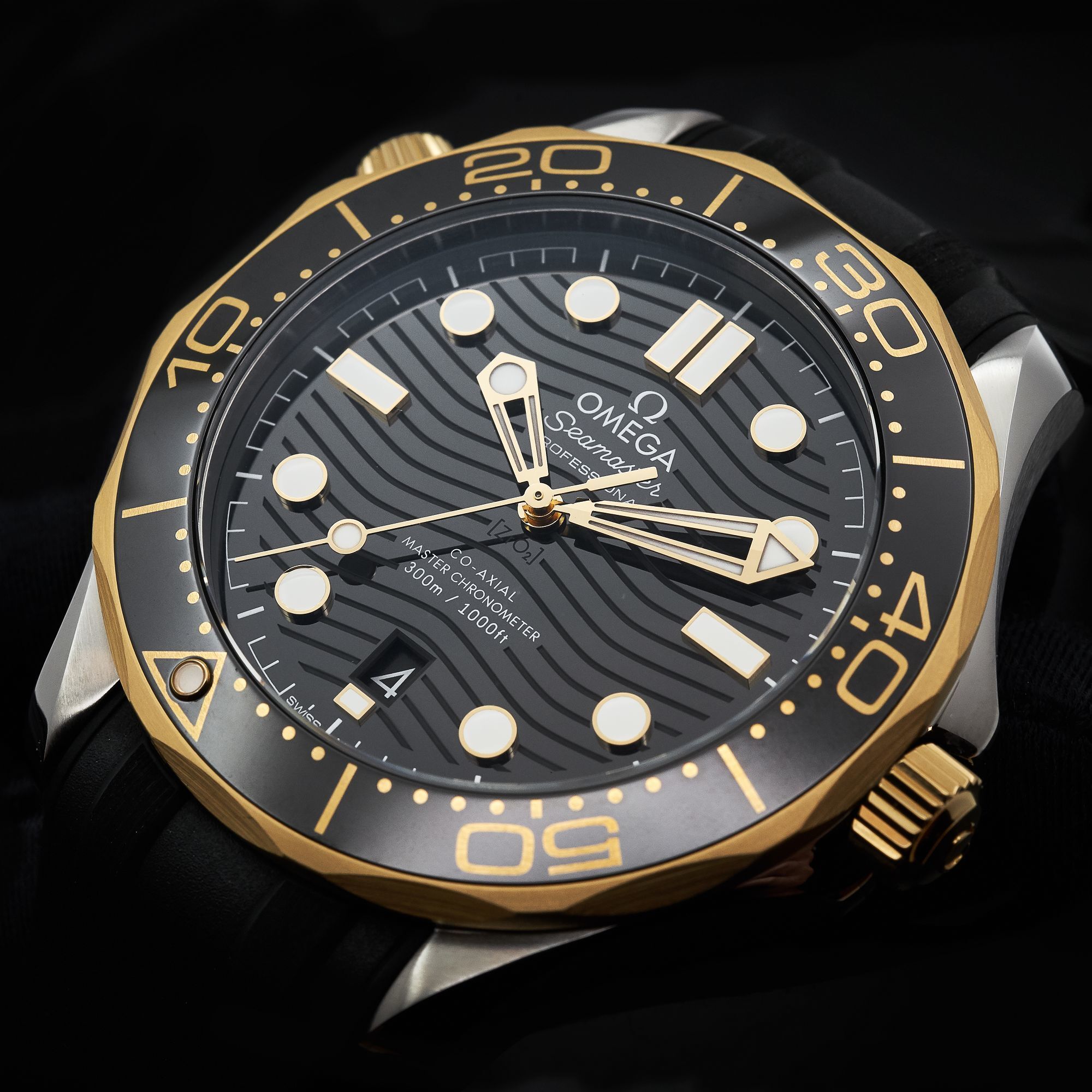 Omega Seamaster Diver 300M watch case