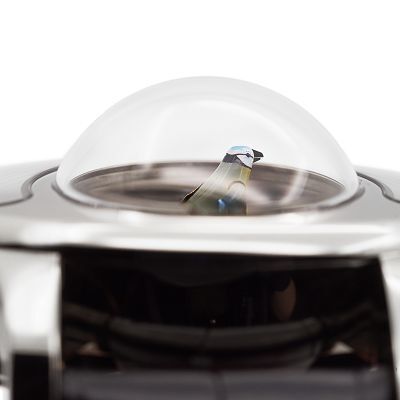 Jaquet Droz The Charming Bird Watch dial