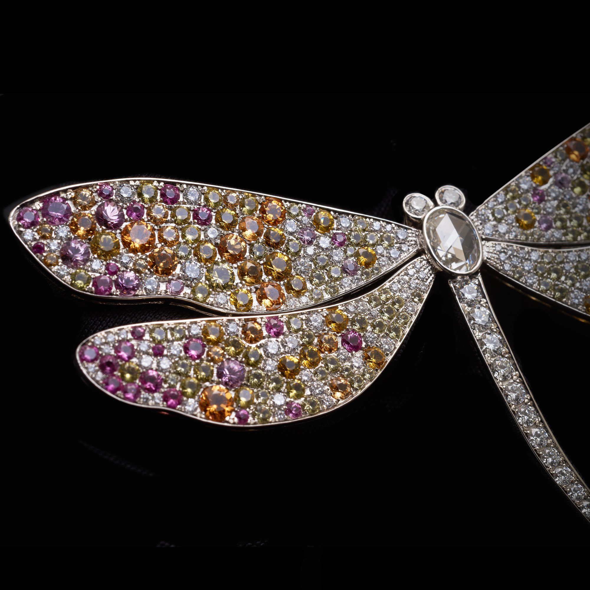 The striking Tiffany & Co. Dragonfly Brooch from the Blue Book collection.