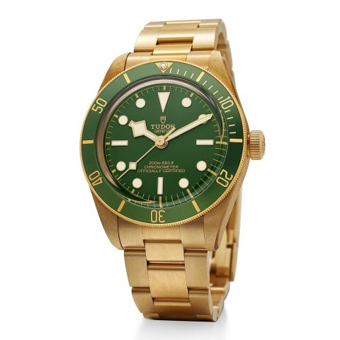 Tudor Black Bay 1958 18K gold case diving watch