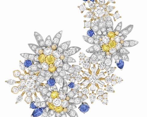 Van Cleef & Arpels Étoile des glaciers diamond brooch